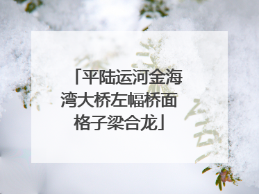 平陆运河金海湾大桥左幅桥面格子梁合龙