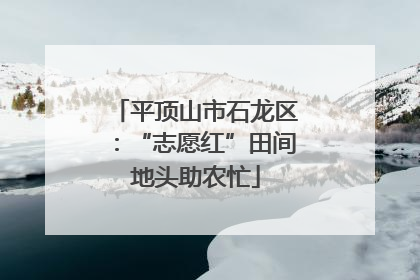 平顶山市石龙区：“志愿红”田间地头助农忙