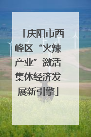 庆阳市西峰区“火辣产业”激活集体经济发展新引擎