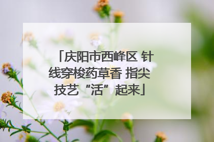 庆阳市西峰区 针线穿梭药草香 指尖技艺“活”起来