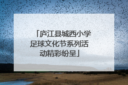 庐江县城西小学足球文化节系列活动精彩纷呈