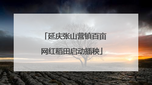 延庆张山营镇百亩网红稻田启动插秧