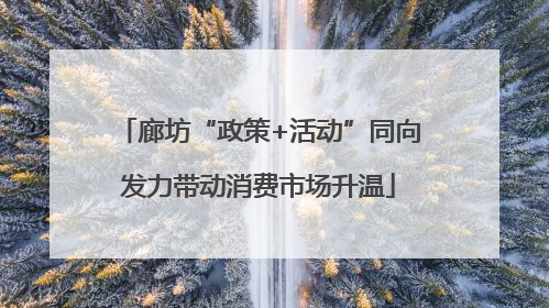 廊坊“政策+活动”同向发力带动消费市场升温