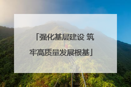 强化基层建设 筑牢高质量发展根基