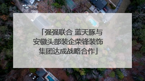 强强联合 蓝天豚与安徽头部装企荣锋装饰集团达成战略合作