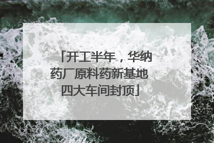 开工半年，华纳药厂原料药新基地四大车间封顶