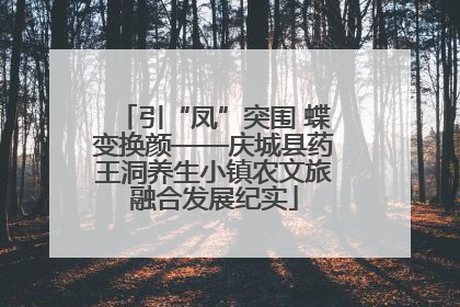 引“凤”突围 蝶变换颜——庆城县药王洞养生小镇农文旅融合发展纪实