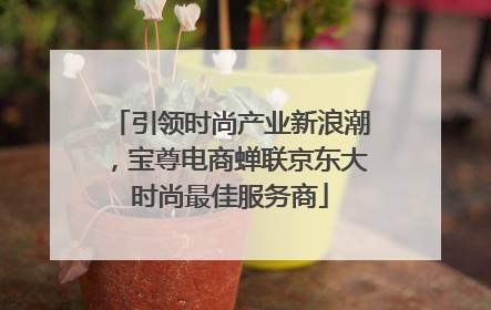 引领时尚产业新浪潮，宝尊电商蝉联京东大时尚最佳服务商