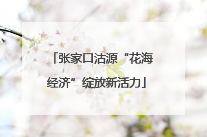 张家口沽源“花海经济”绽放新活力