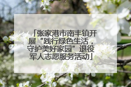 张家港市南丰镇开展“践行绿色生活，守护美好家园”退役军人志愿服务活动