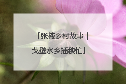 张掖乡村故事｜戈壁水乡插秧忙