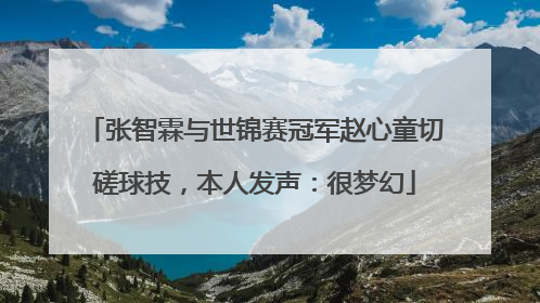 张智霖与世锦赛冠军赵心童切磋球技，本人发声：很梦幻