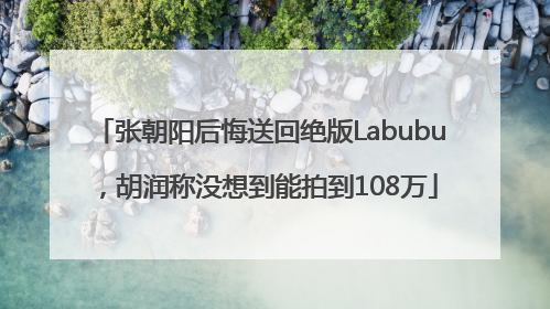 张朝阳后悔送回绝版Labubu，胡润称没想到能拍到108万