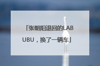 张朝阳退回的LABUBU，换了一辆车