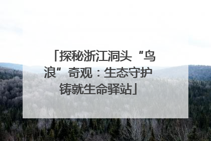 探秘浙江洞头“鸟浪”奇观：生态守护铸就生命驿站