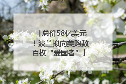总价58亿美元！波兰拟向美购数百枚“爱国者”