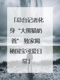总台记者化身“大熊猫奶爸” 独家揭秘国宝可爱日常