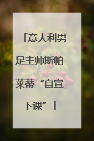意大利男足主帅斯帕莱蒂“自宣下课”