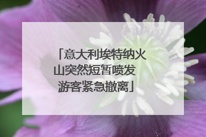 意大利埃特纳火山突然短暂喷发 游客紧急撤离