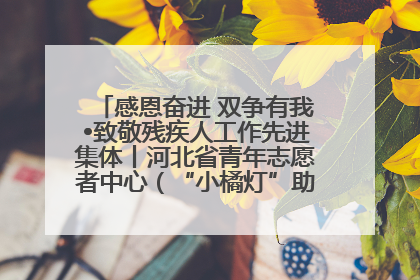 感恩奋进 双争有我•致敬残疾人工作先进集体丨河北省青年志愿者中心（“小橘灯”助残接力计划实施团队）：用温暖陪伴，守护特殊孩子成长