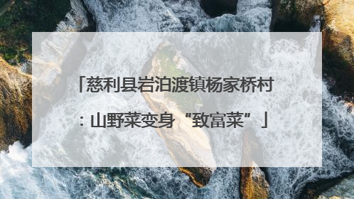 慈利县岩泊渡镇杨家桥村：山野菜变身“致富菜”