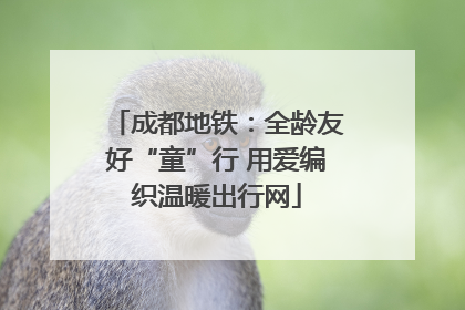 成都地铁：全龄友好“童”行 用爱编织温暖出行网