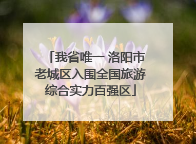 我省唯一 洛阳市老城区入围全国旅游综合实力百强区