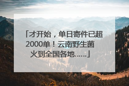 才开始，单日寄件已超2000单！云南野生菌火到全国各地……
