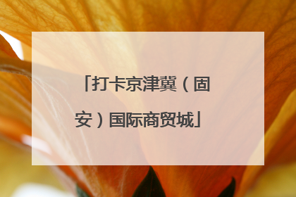 打卡京津冀（固安）国际商贸城