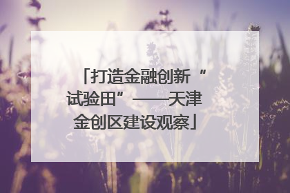 打造金融创新“试验田”——天津金创区建设观察