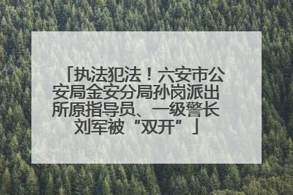 执法犯法！六安市公安局金安分局孙岗派出所原指导员、一级警长刘军被“双开”
