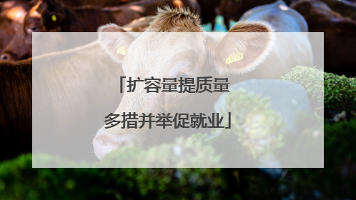 扩容量提质量 多措并举促就业
