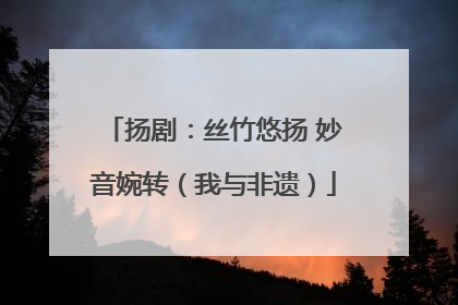扬剧：丝竹悠扬 妙音婉转（我与非遗）