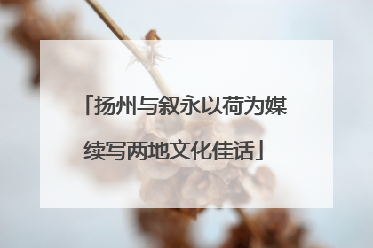 扬州与叙永以荷为媒续写两地文化佳话