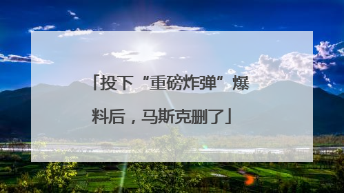 投下“重磅炸弹”爆料后，马斯克删了