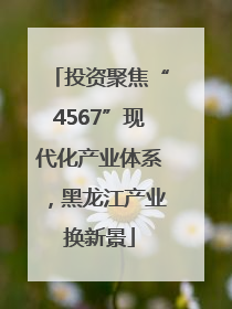 投资聚焦“4567”现代化产业体系，黑龙江产业换新景