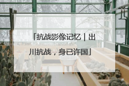 抗战影像记忆｜出川抗战，身已许国