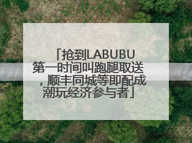抢到LABUBU第一时间叫跑腿取送，顺丰同城等即配成潮玩经济参与者