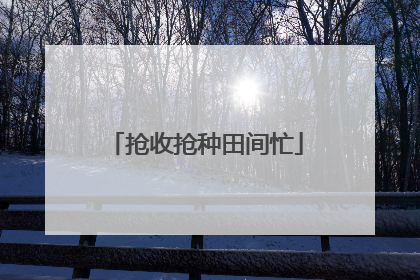 抢收抢种田间忙