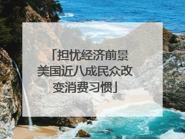 担忧经济前景 美国近八成民众改变消费习惯
