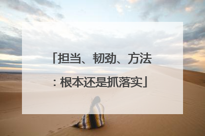 担当、韧劲、方法：根本还是抓落实