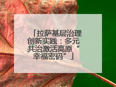 拉萨基层治理创新实践：多元共治激活高原“幸福密码”