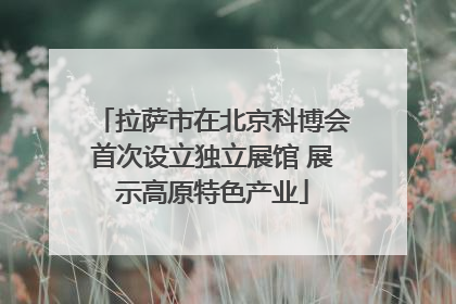 拉萨市在北京科博会首次设立独立展馆 展示高原特色产业