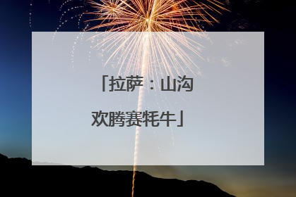 拉萨：山沟欢腾赛牦牛