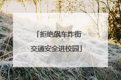 拒绝飙车炸街 交通安全进校园