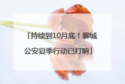 持续到10月底！聊城公安夏季行动已打响