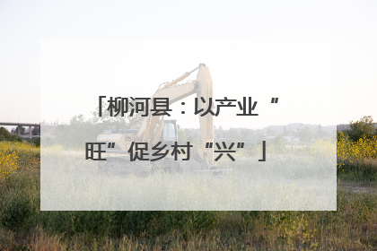 柳河县：以产业“旺”促乡村“兴”