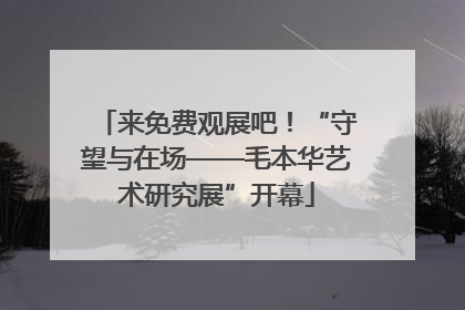 来免费观展吧！“守望与在场——毛本华艺术研究展”开幕