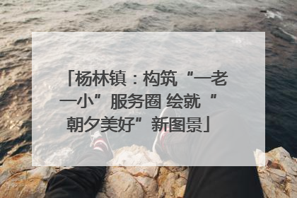 杨林镇：构筑“一老一小”服务圈 绘就“朝夕美好”新图景