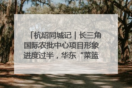 杭绍同城记｜长三角国际农批中心项目形象进度过半，华东“菜篮子”建设加码提速！